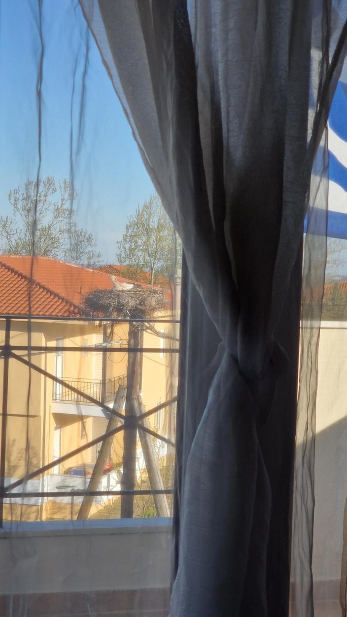 Kofinaki Apartment 1 Tycherón المظهر الخارجي الصورة