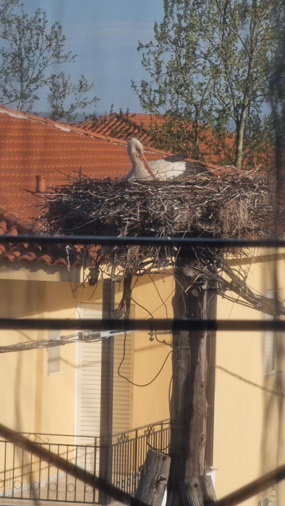 Kofinaki Apartment 1 Tycherón المظهر الخارجي الصورة