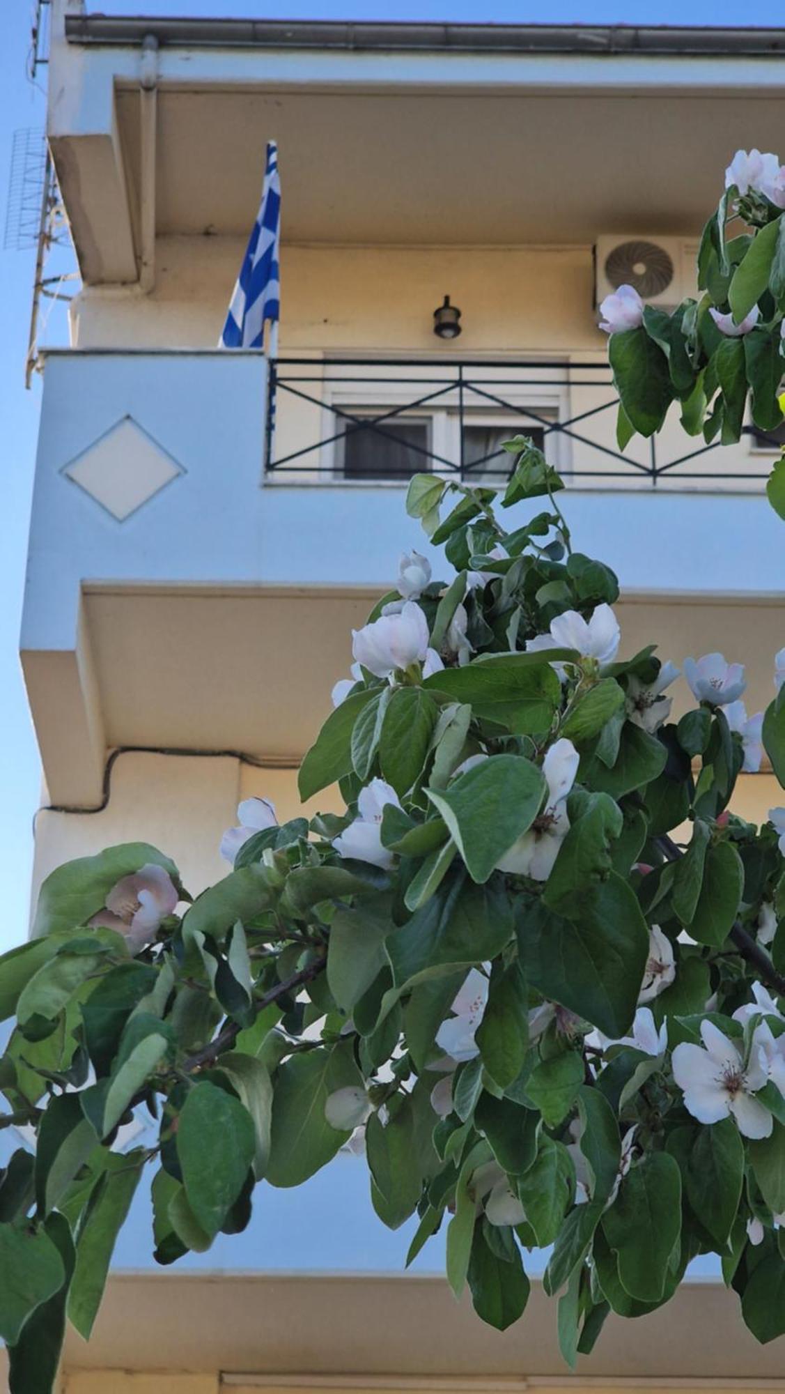 Kofinaki Apartment 1 Tycherón المظهر الخارجي الصورة
