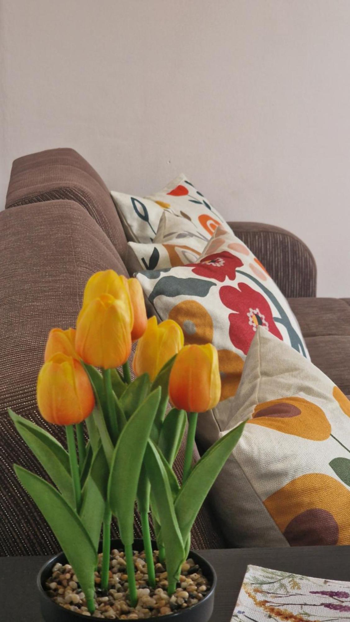 Kofinaki Apartment 1 Tycherón المظهر الخارجي الصورة